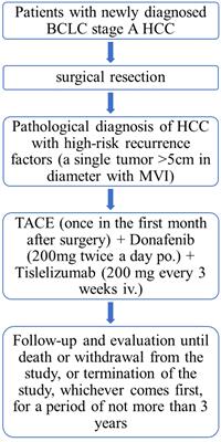 TIDE: adjuvant tislelizumab plus donafenib combined with transarterial chemoembolization for high-risk hepatocellular carcinoma after surgery: protocol for a prospective, single-arm, phase II trial